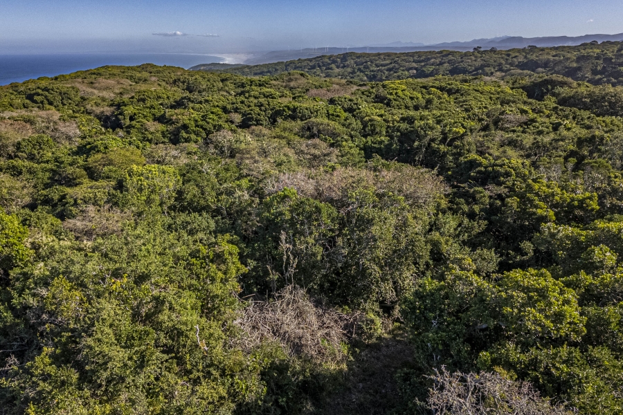 1 Bedroom Property for Sale in Seaview Eastern Cape